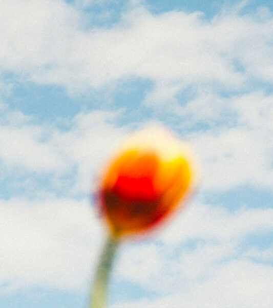 Scopri il “Beauty Gazing”: La routine che ti fa brillare guardando il bello!