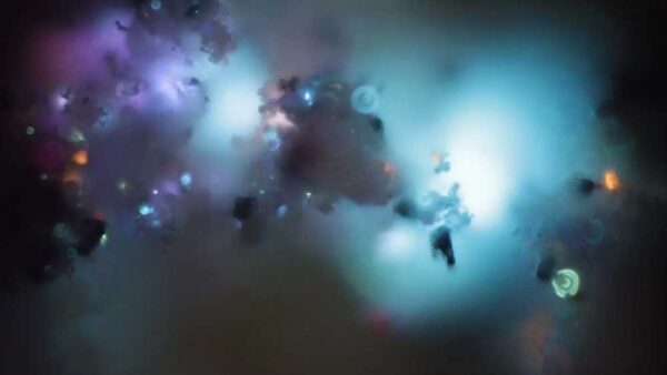 Le ceneri umane al microscopio: tra scienza, illusione e sguardo artistico.