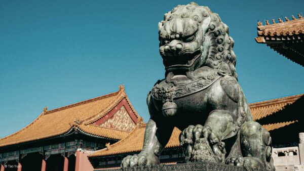 Tra grazia e unghie: imparare da Bertolt Brecht.